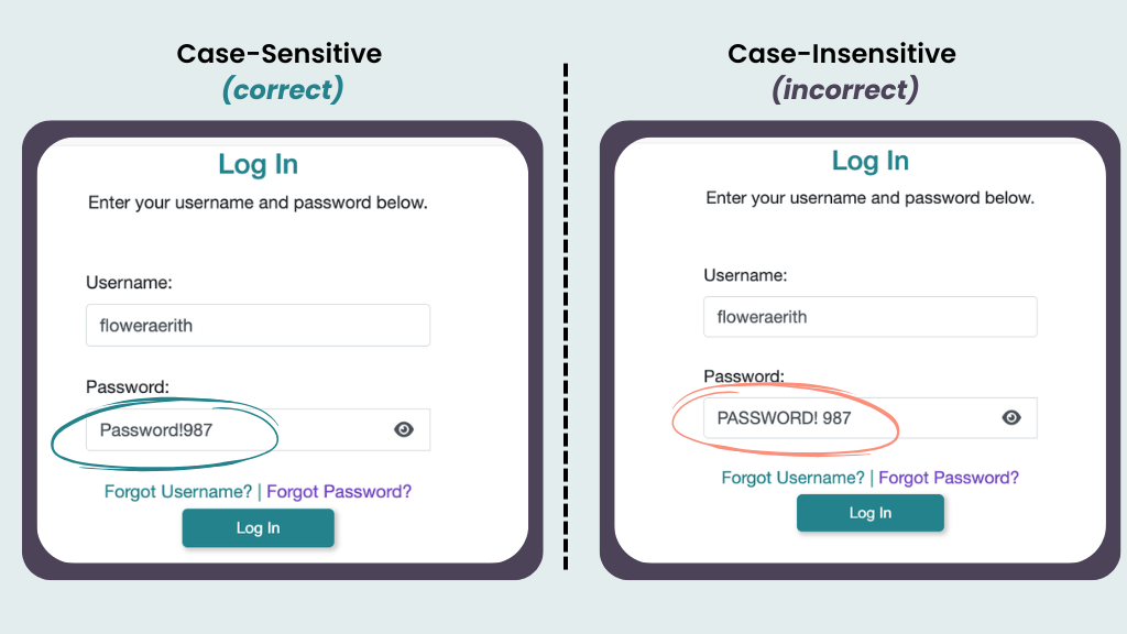 Case Sensitive (correct).png