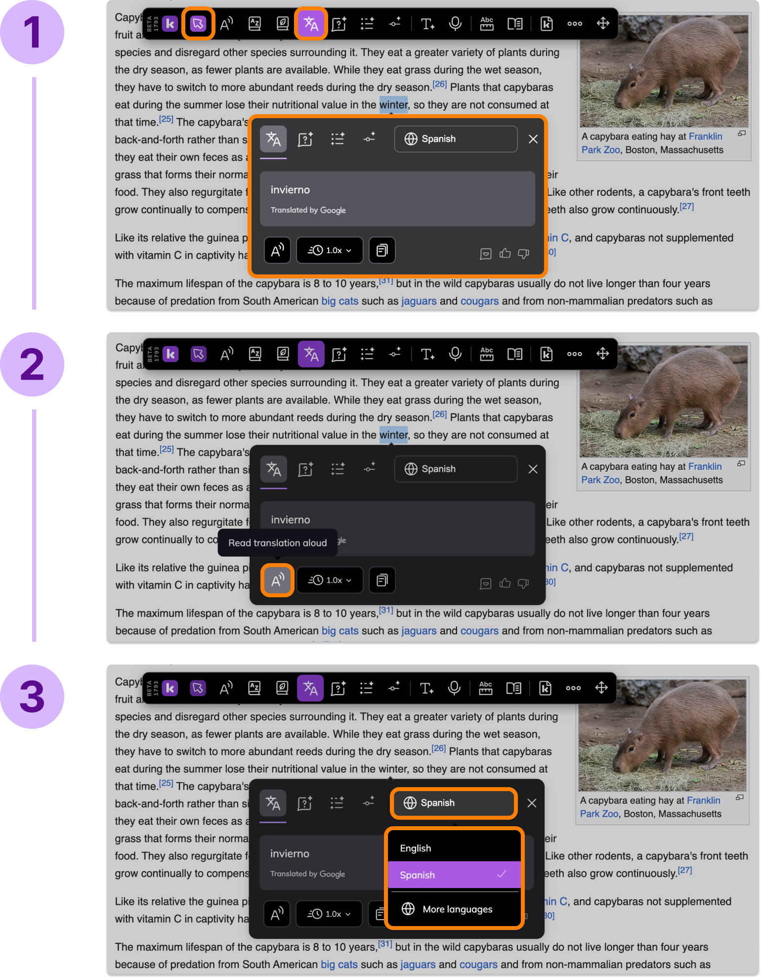 Group 1010105948.png