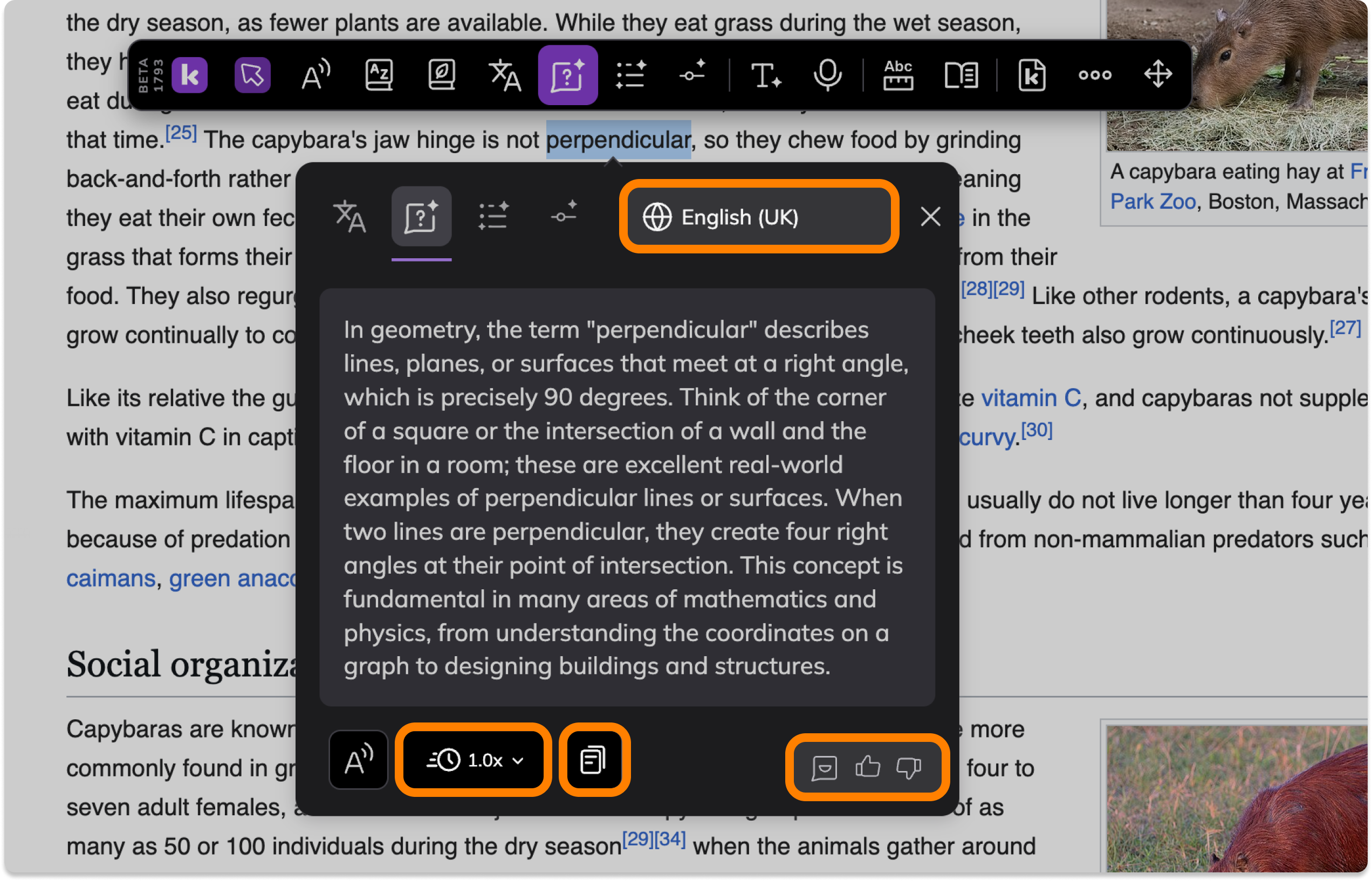 Screenshot Template (Insert image) (1).png