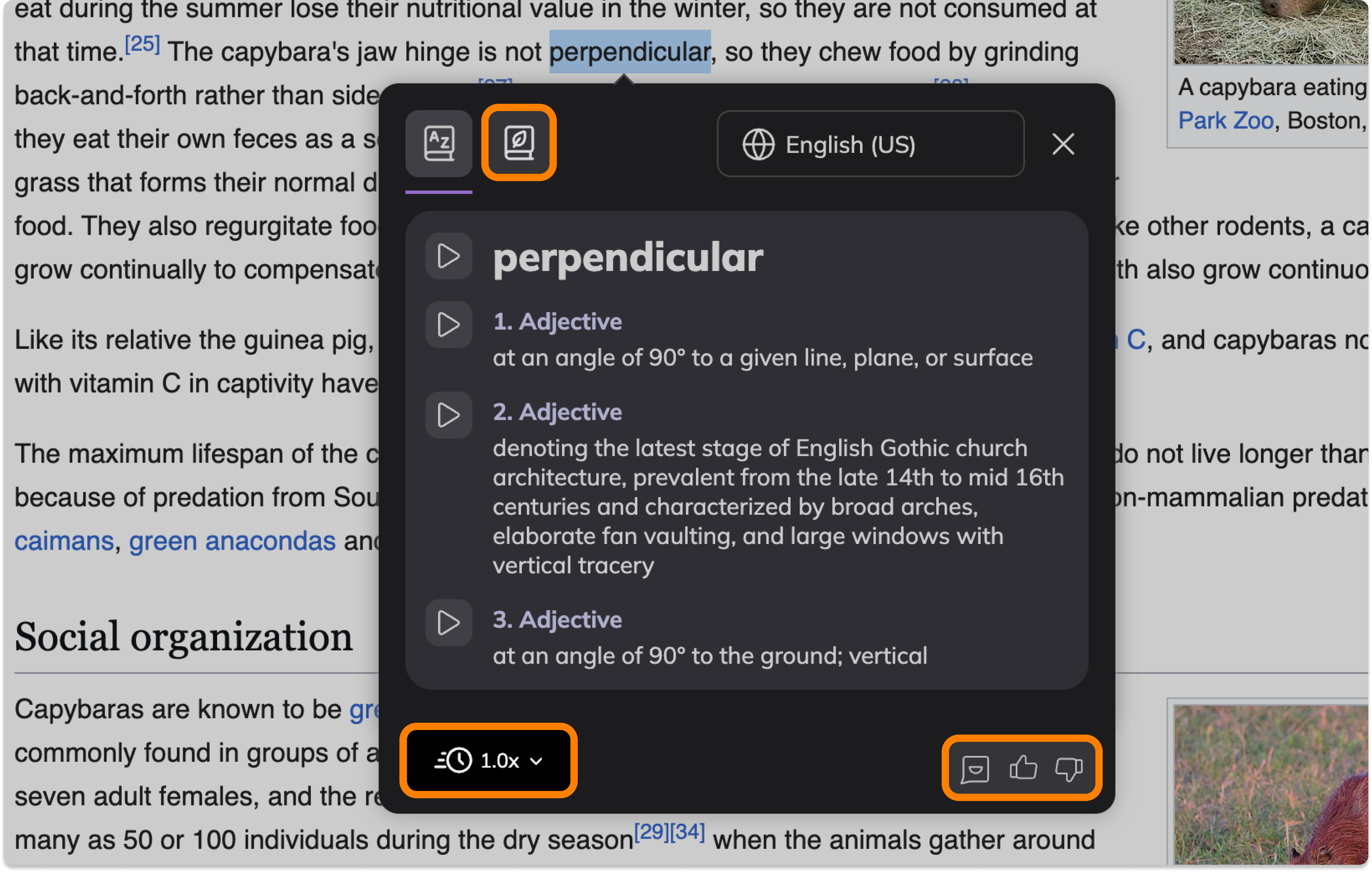 Screenshot Template (Insert image) (7).png