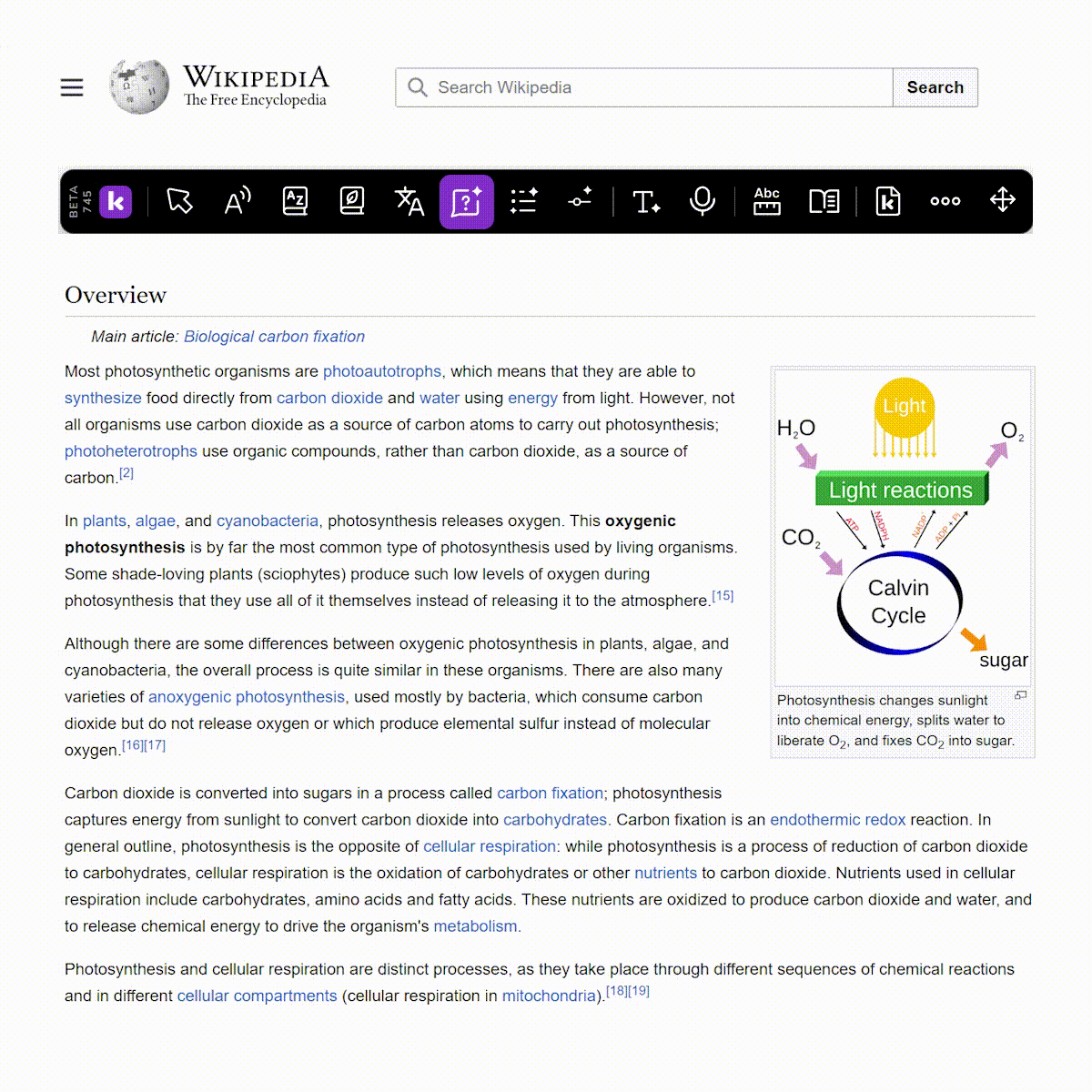 Companion_Explain (1).gif