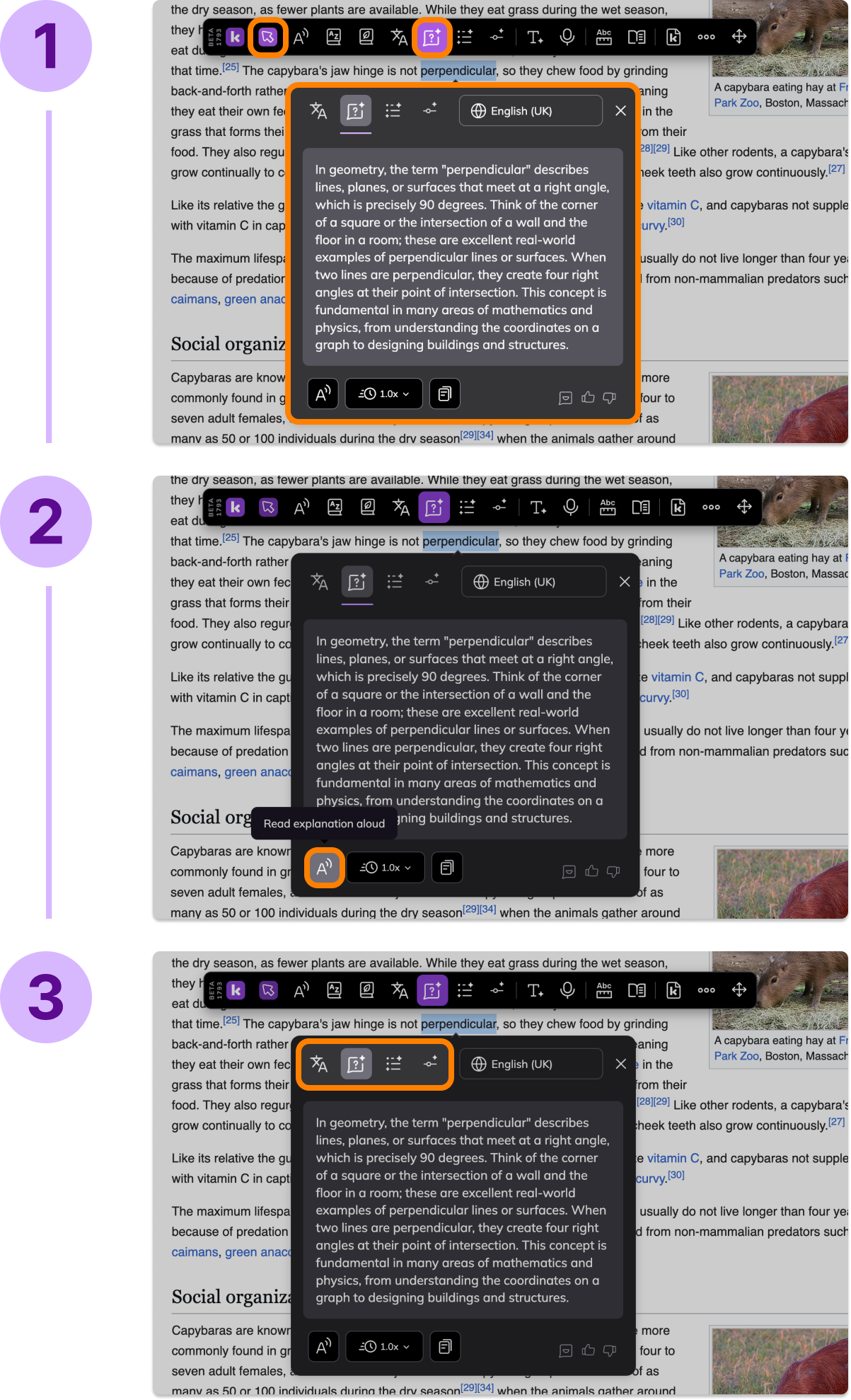 Group 1010105948.png