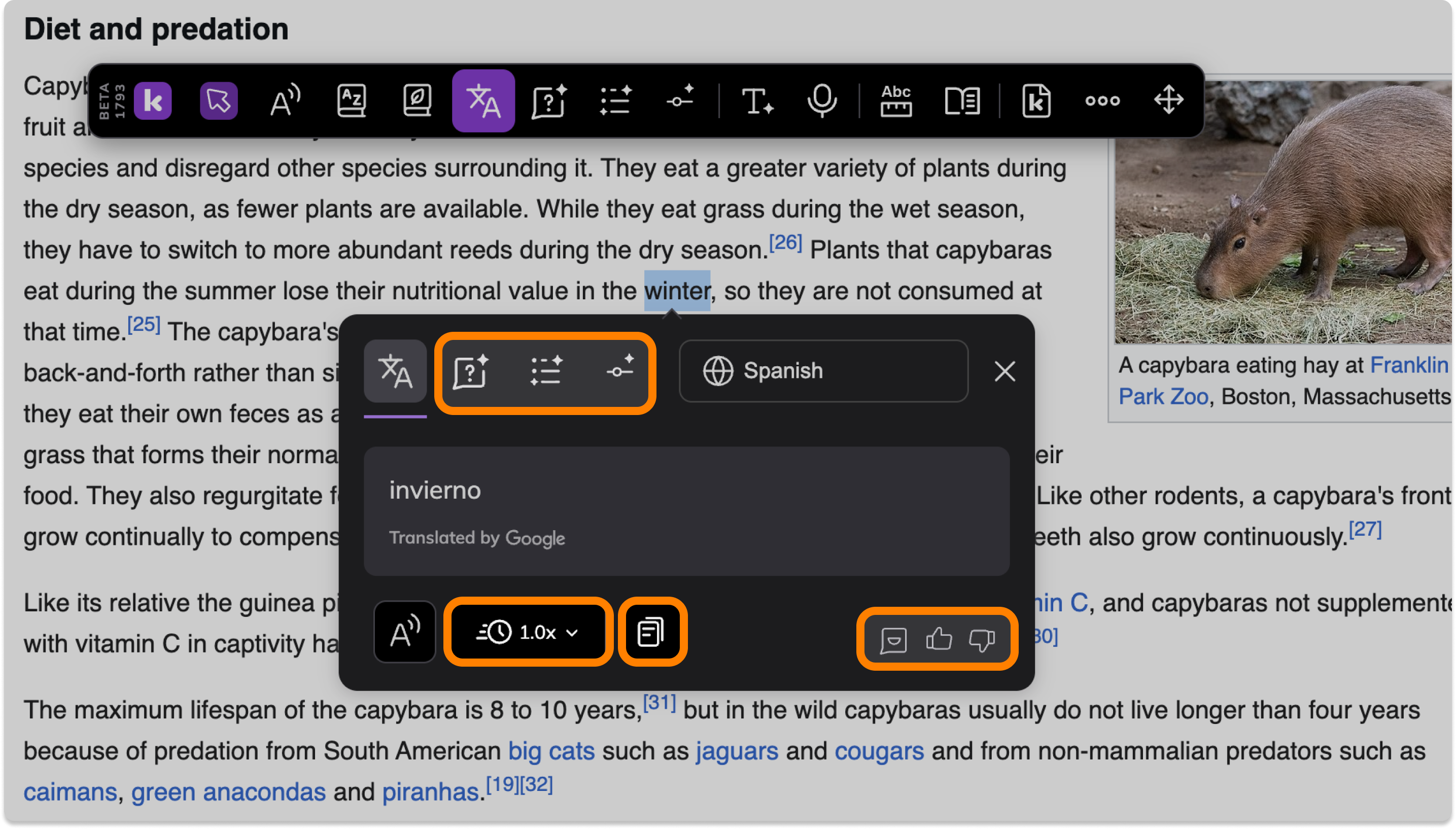 Screenshot Template (Insert image) (11).png