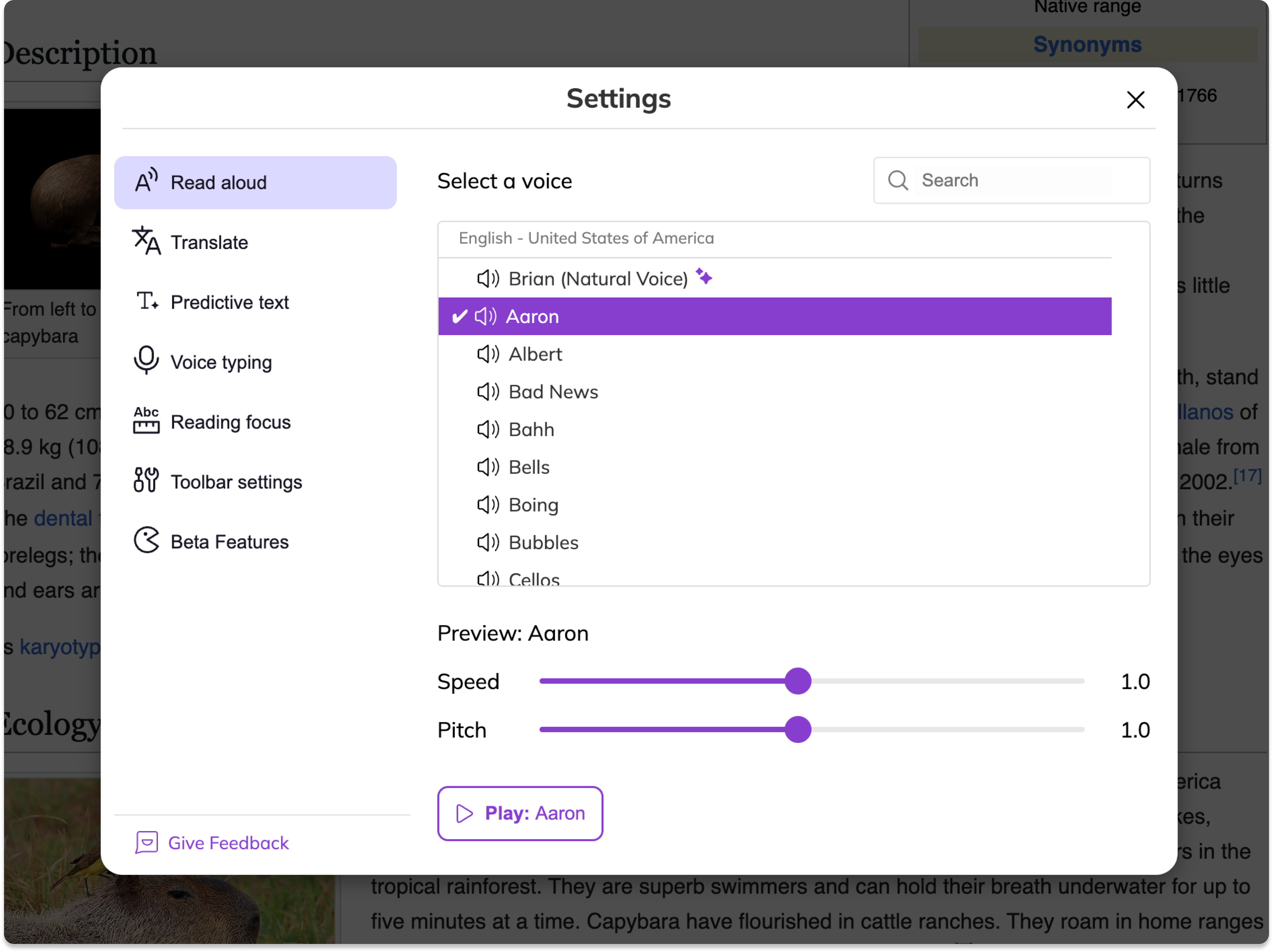 Screenshot Template (Insert image) (6).png