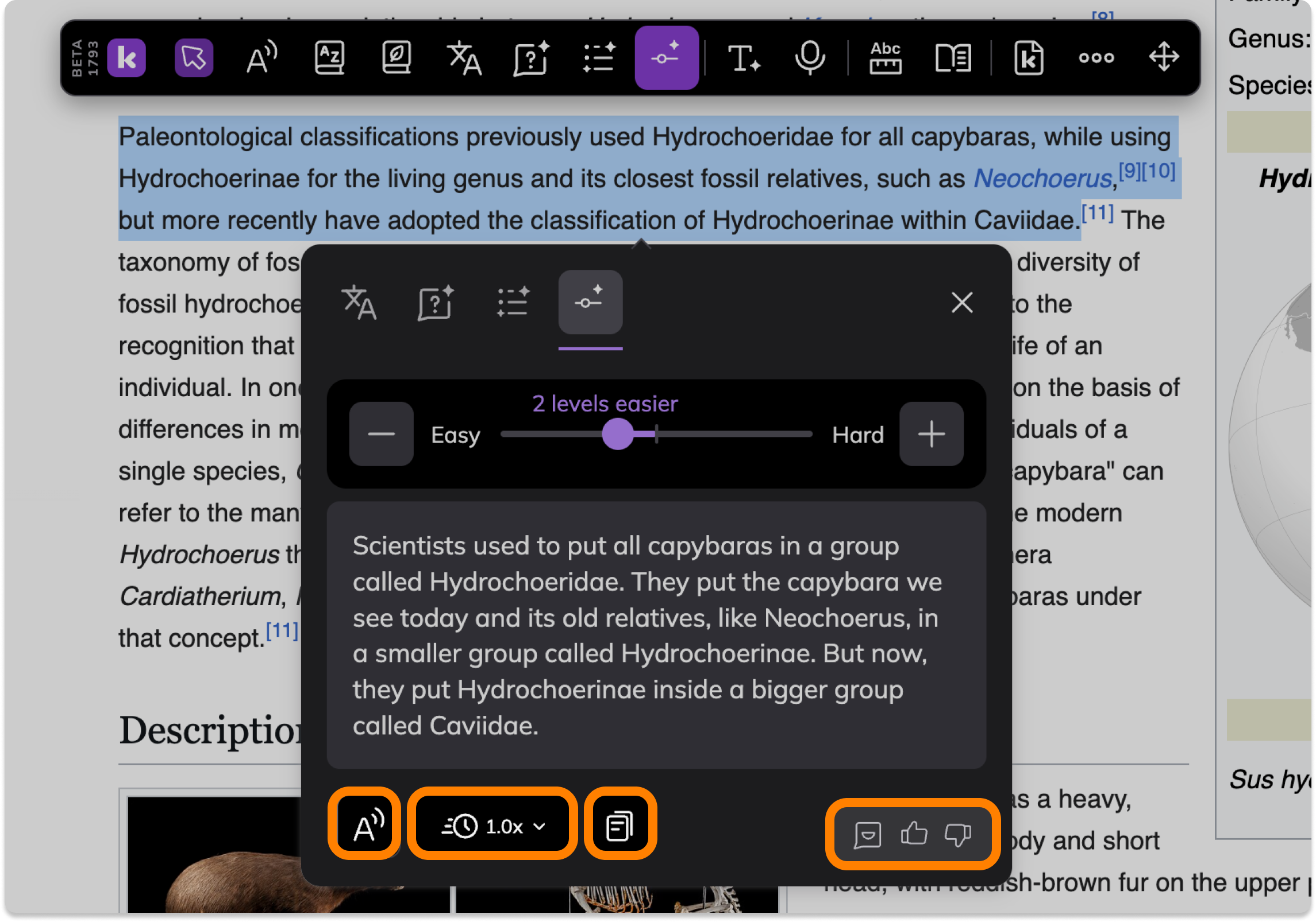 Screenshot Template (Insert image) (2).png