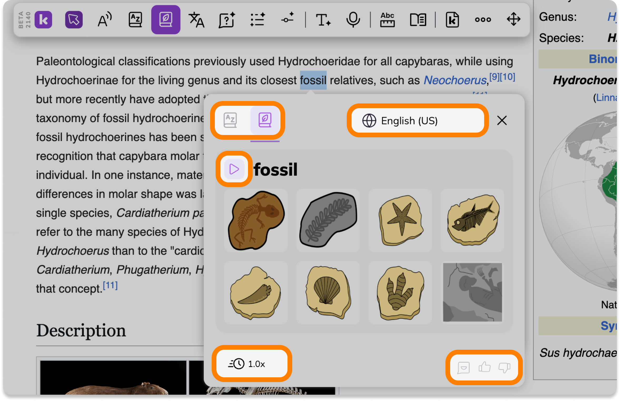 Screenshot Template (Insert image) (1).png