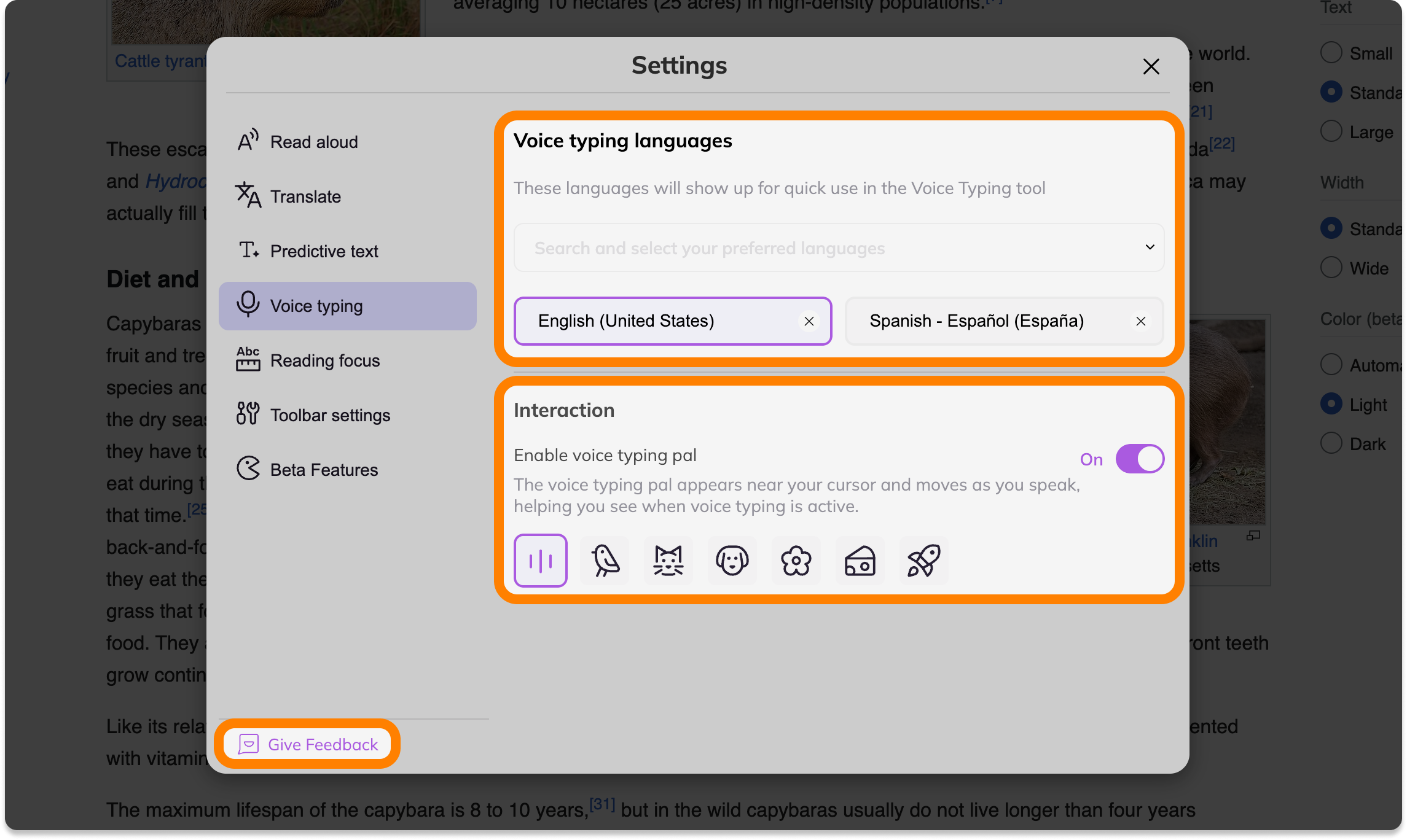 Screenshot Template (Insert image).png
