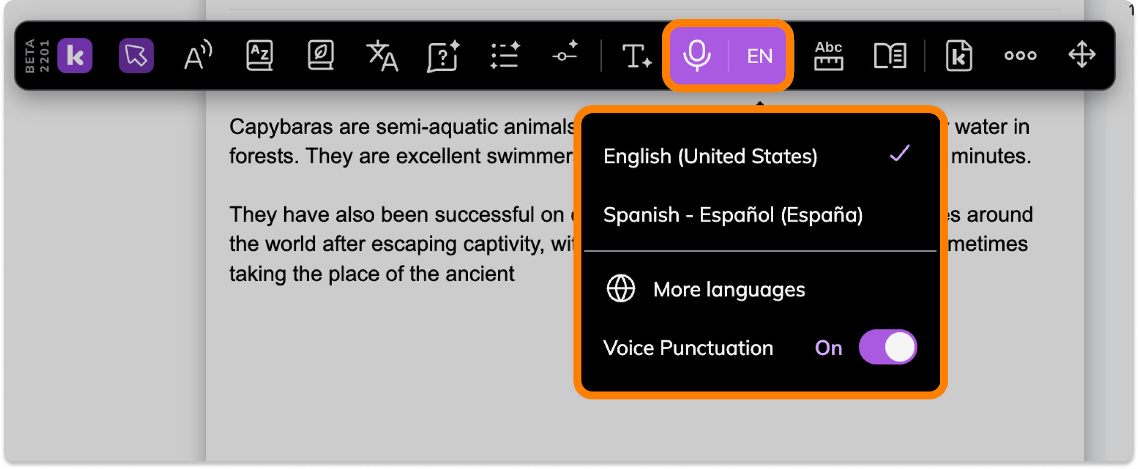 Screenshot Template (Insert image) (3).png