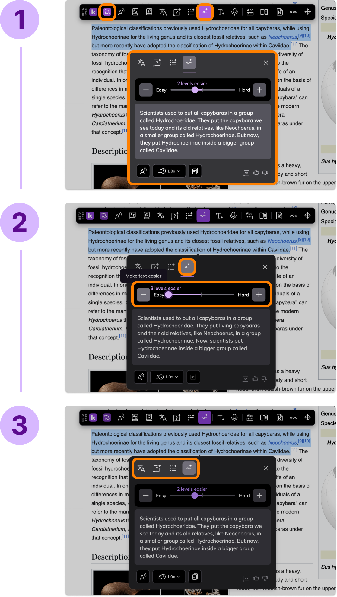 Group 1010105948 (1).png