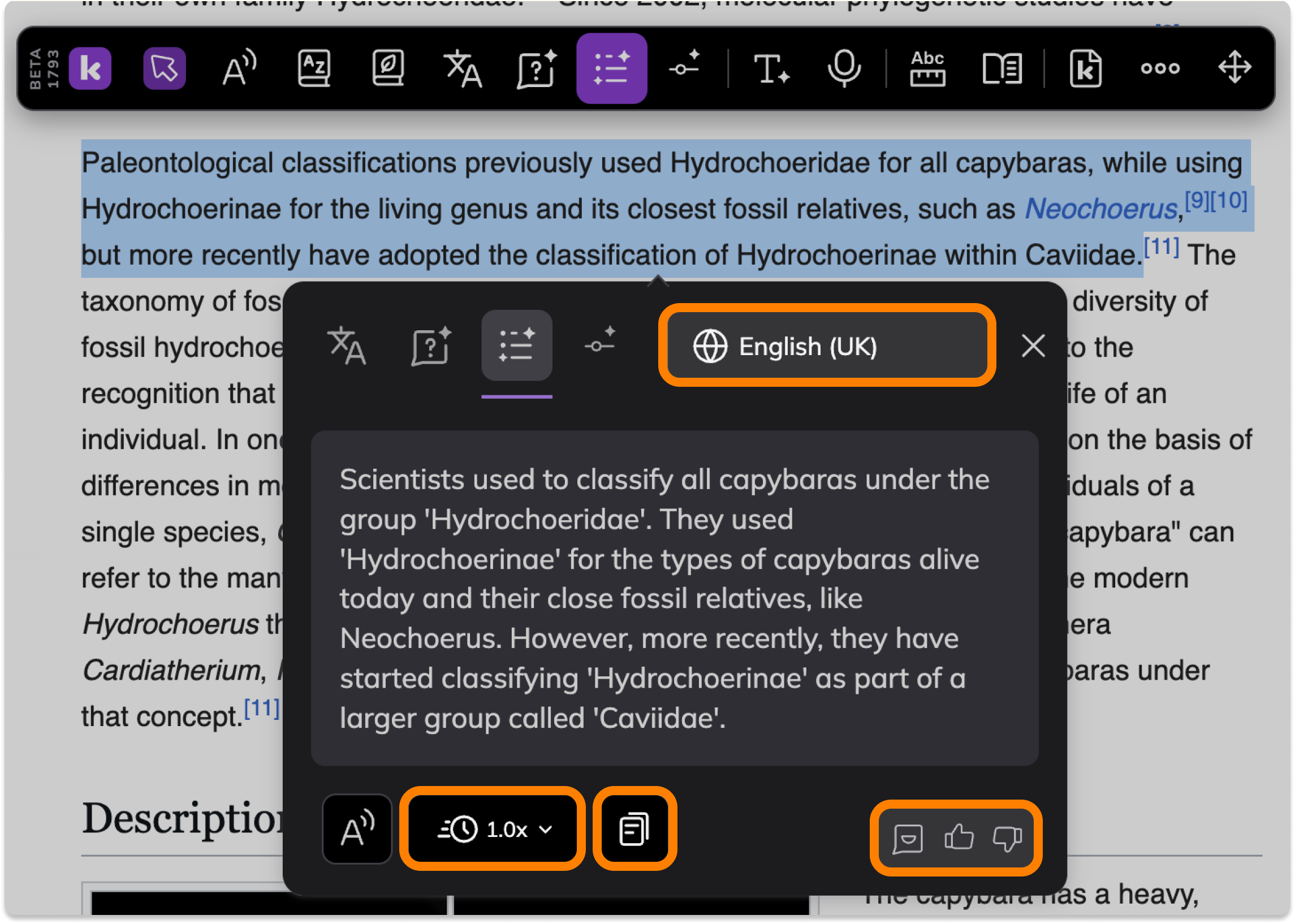Screenshot Template (Insert image).png