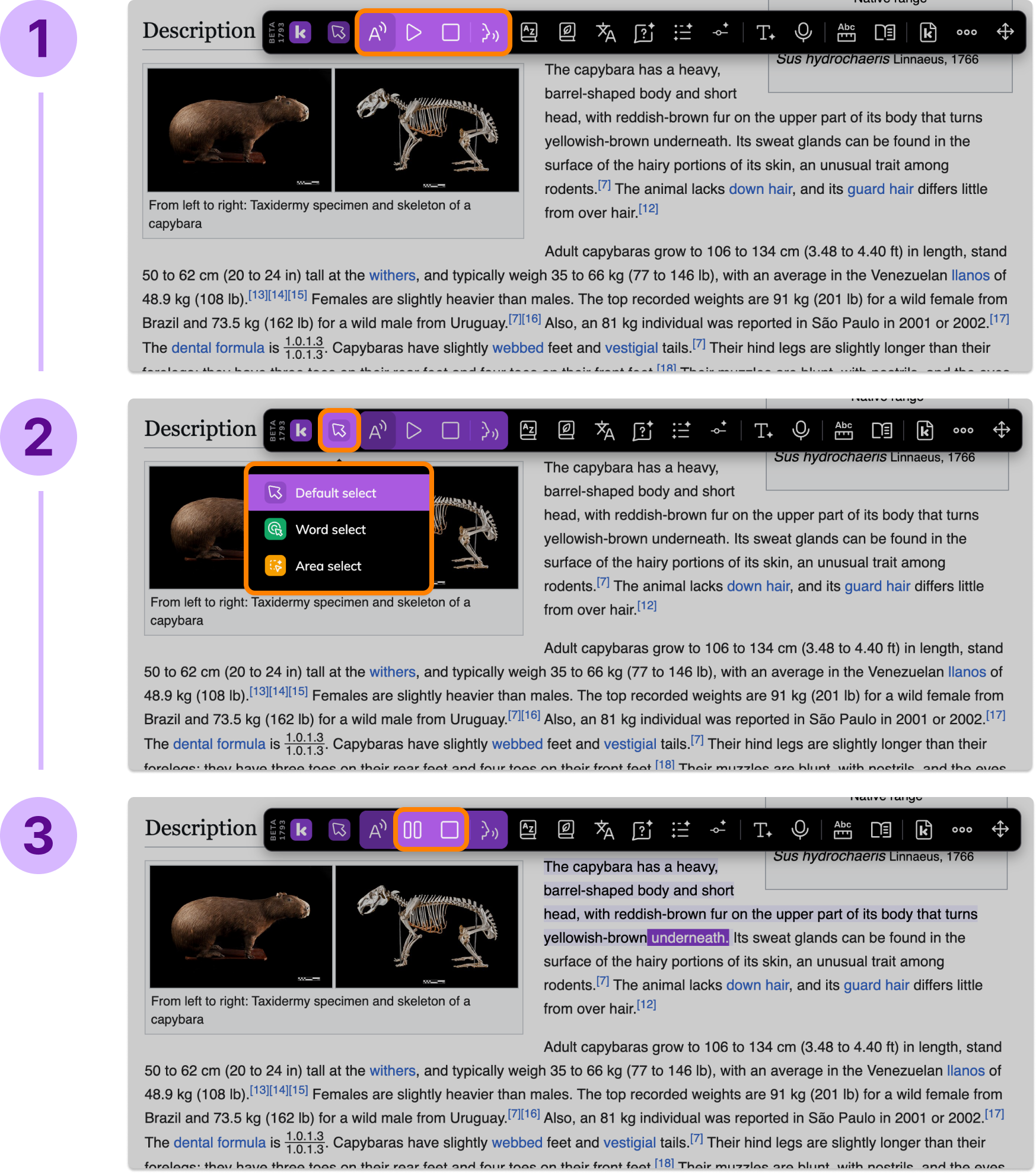 article-editor-upload_9e01a983-7da8-49f8-8366-931eff1af5f0.png