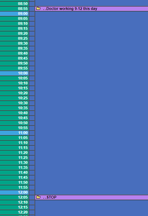 Doctor schedule in Oscar EMR