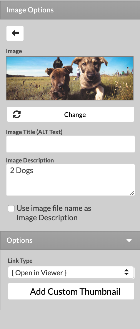 Image
