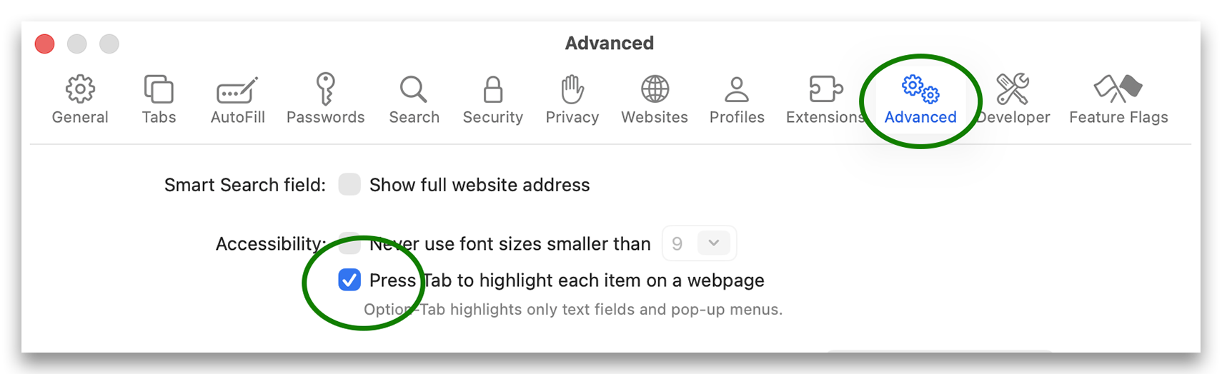 Screenshot - Advanced Settings2.png