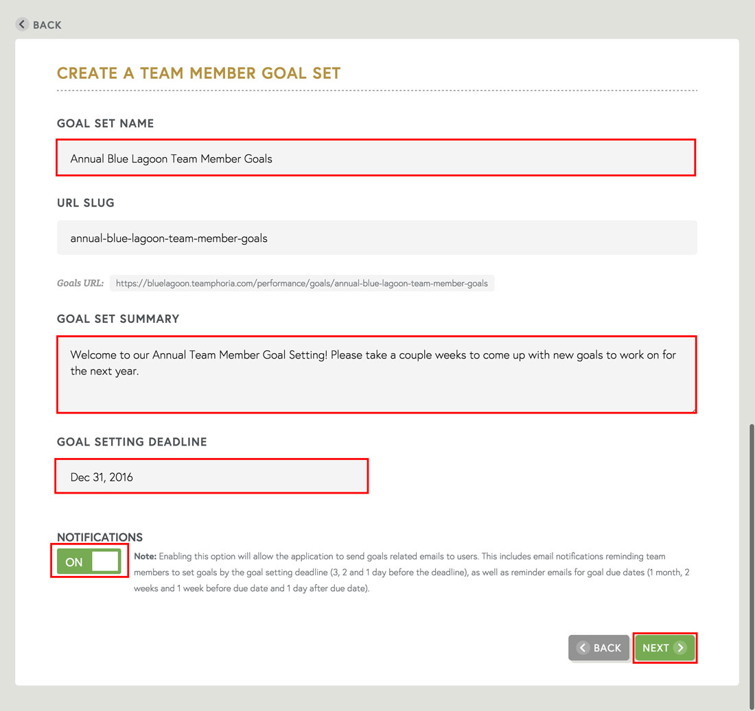 team member goal set creation and performance management