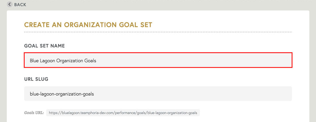 organization goals that enhance company culture