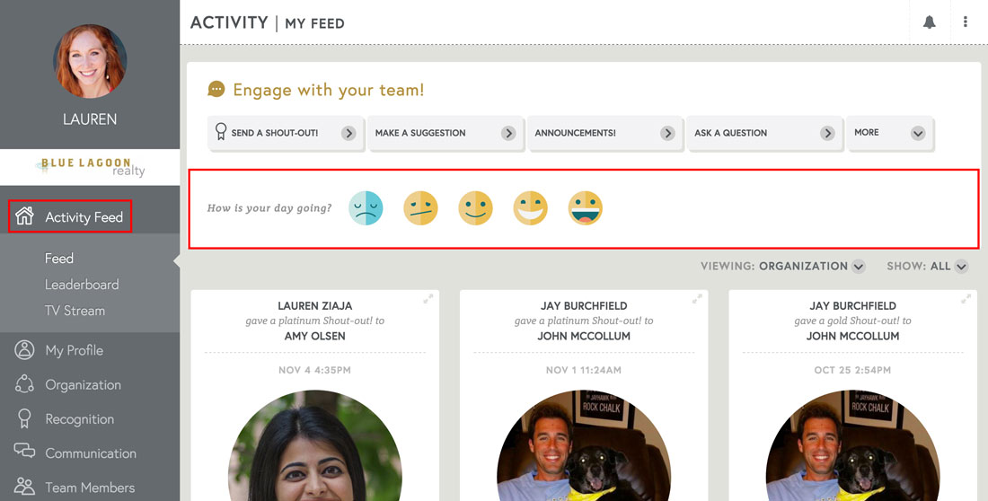survey employee satisfaction through team pulse