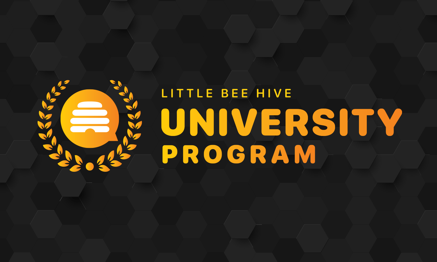 logo_university_program.png