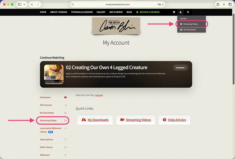 Streaming Videos Menu Location.png