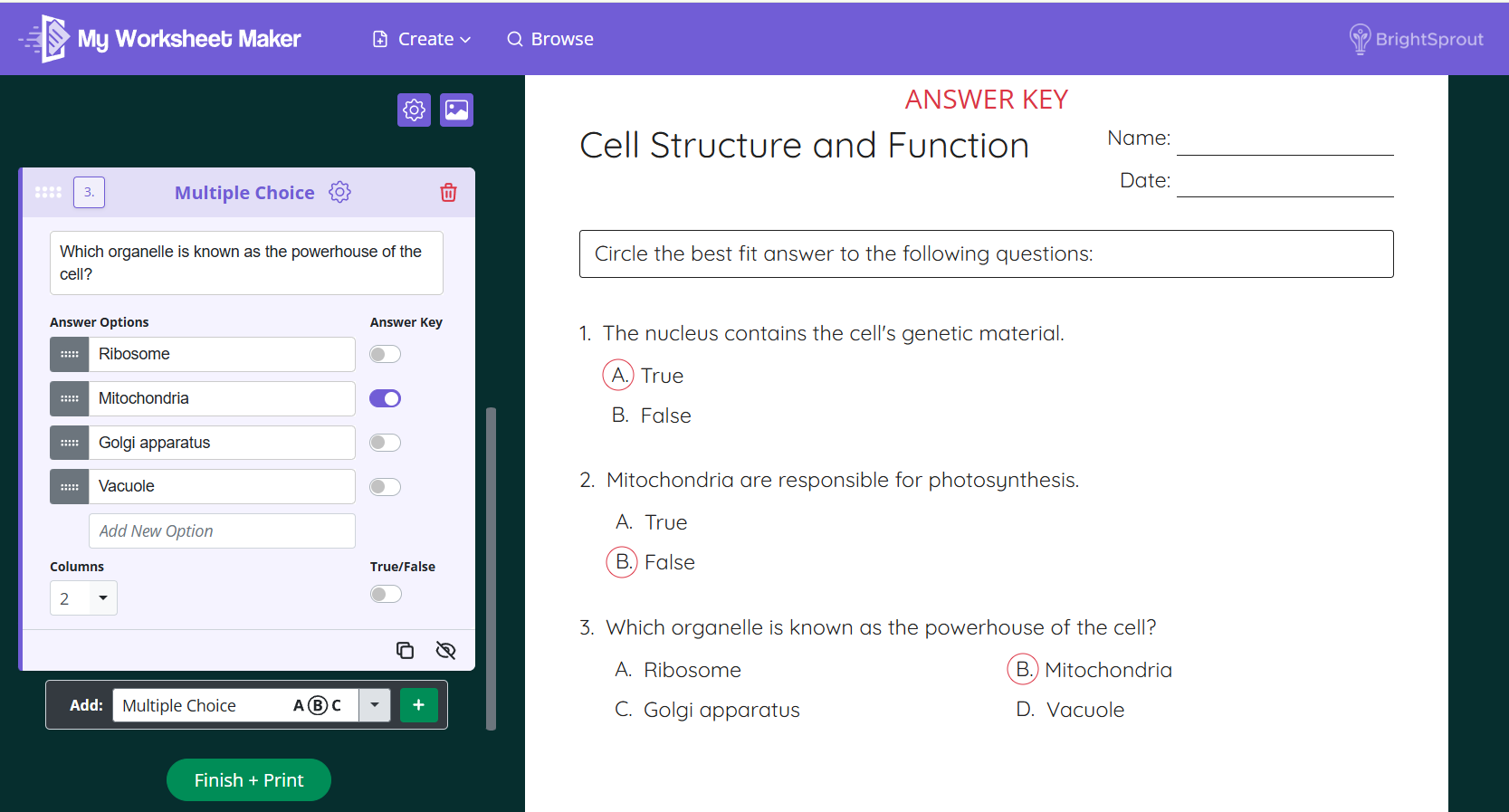 multiple choice.png