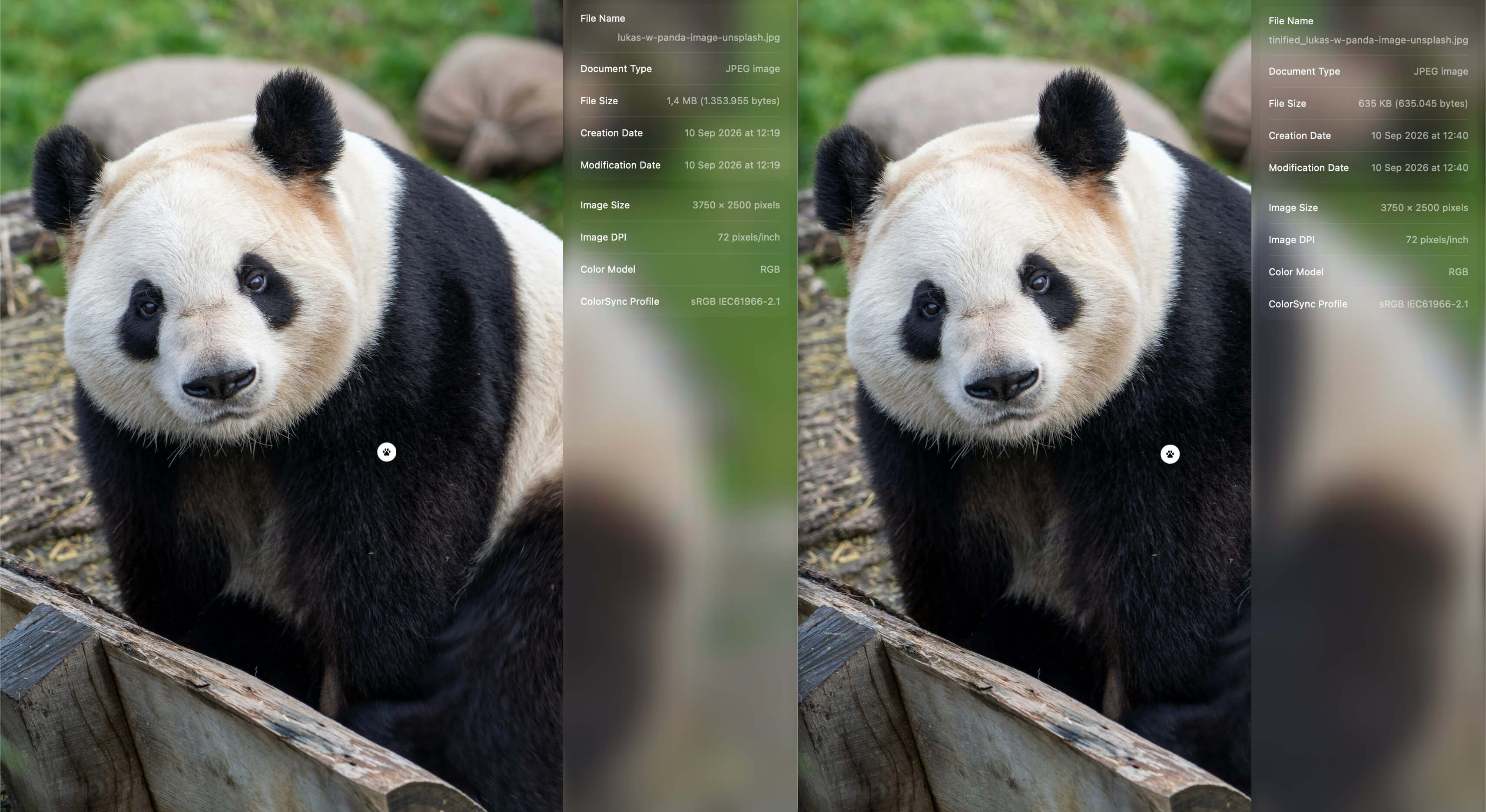 original vs compressed jpg.jpg