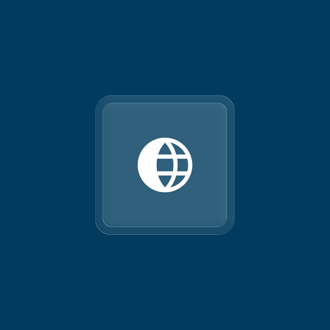 Advanced DNS Customization