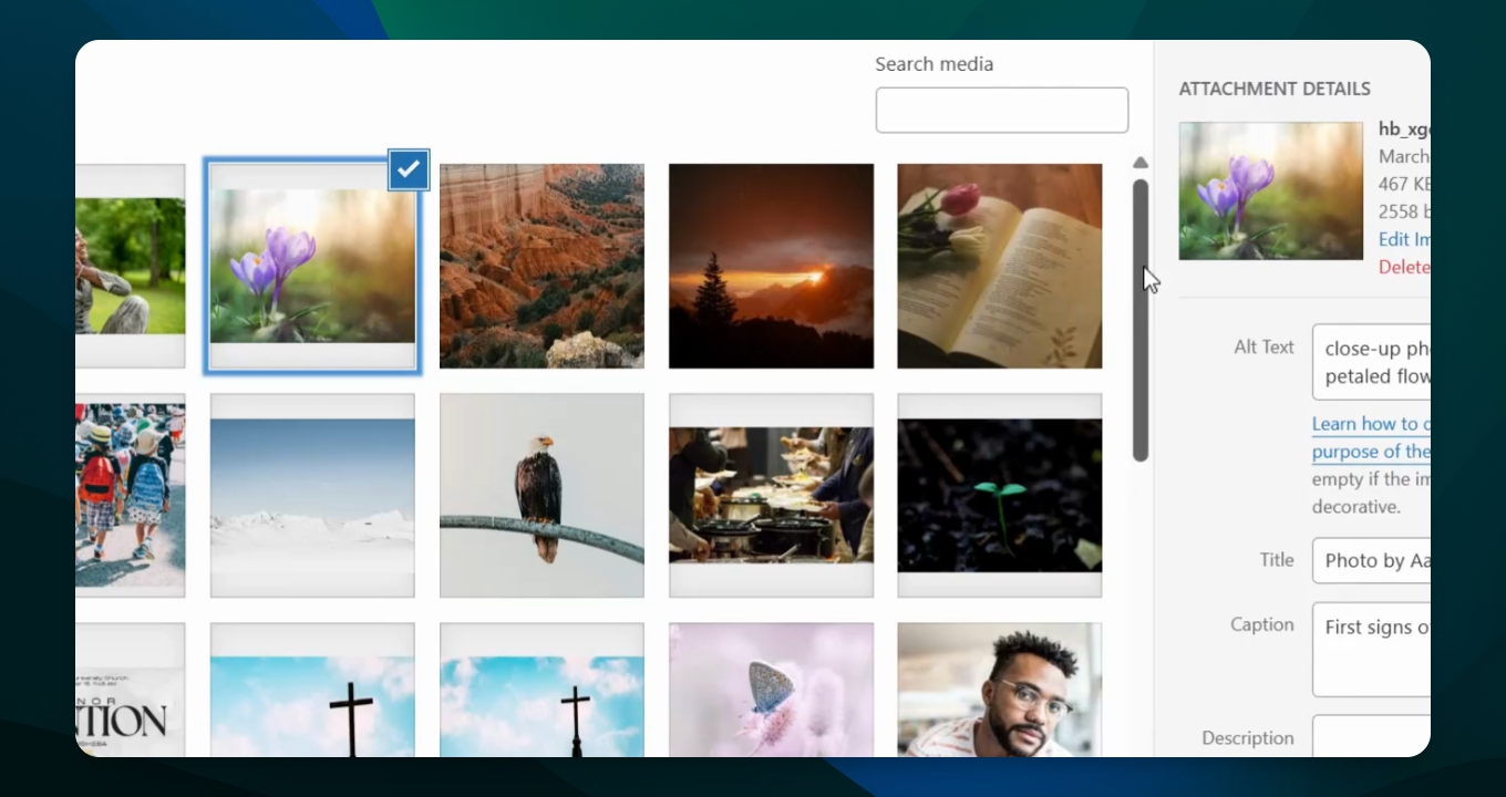 Snapshot