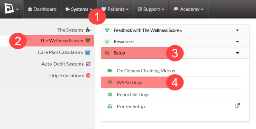 WSS Settings menu.png